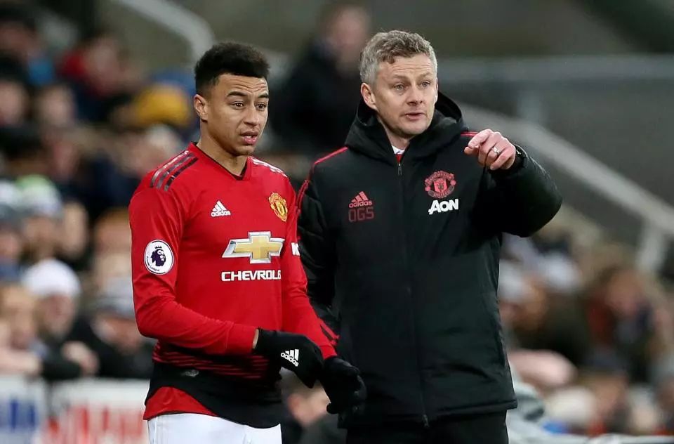 场更加引人 场更加引人